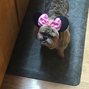 Meet your Posher, Annette